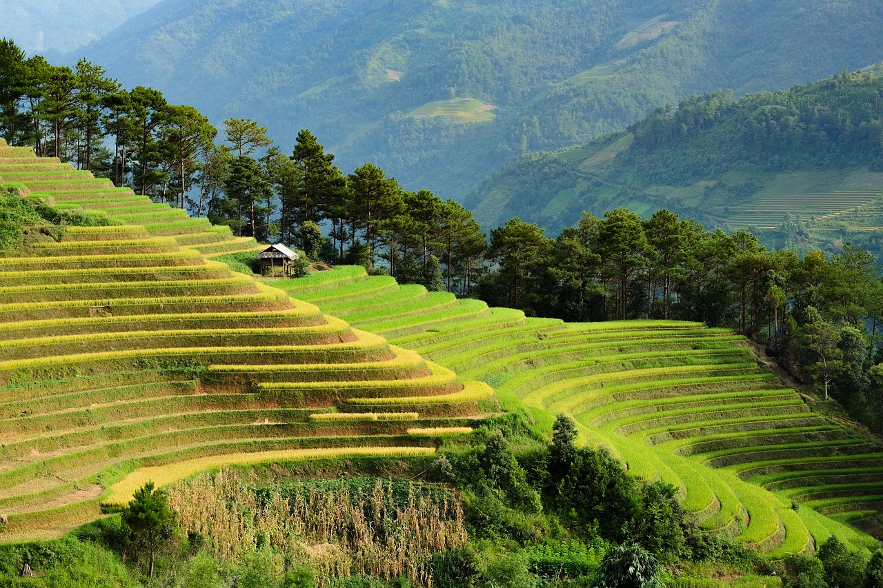 Explore South Vietnam in 7 Days